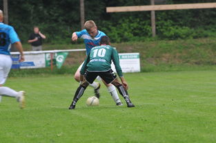 开云下载-天津津门虎残阵抗衡山东泰山，末轮为阻击上海申花留力，天津津门虎最新赛程